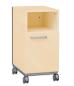 Preview: Grande Schreibtischrollschrank A, T 50, H 76