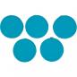 Preview: Bodenkissen, rund, 5er-Set, dunkeltürkis