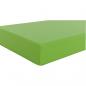 Preview: Matte für Quadro-Häuschen, B 113, hellgrün