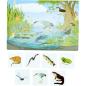 Preview: Natur entdecken