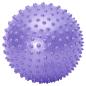 Preview: Noppenball, 16 cm, violett