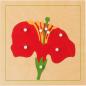 Preview: Montessori Botanisches Puzzle, Blüte