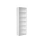 Preview: Schrank H 238 ohne Mittelwand, mit 5 Einlegeböden, B 79 (Quadro 220)