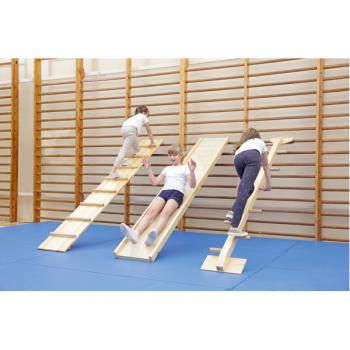 Einhänge-Element Hühnerleiter