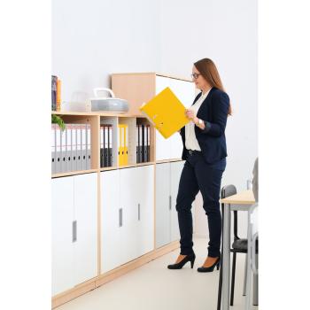 Quadro - Aufsatzregal S, mit 2 Mittelwänden, B 116