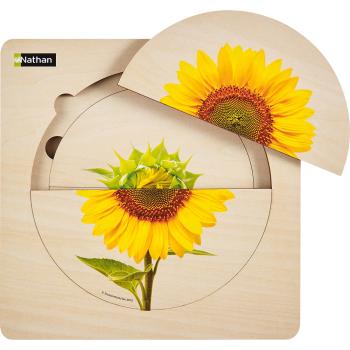 Lagenpuzzle Sonnenblume