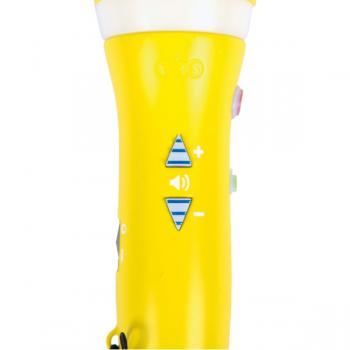 Mikrofon mit Aufnahmefunktion