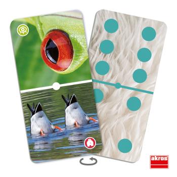 Domino - Tiere hautnah