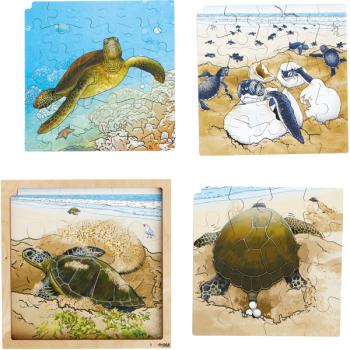 AR-Puzzle 4-lagig - Lebenszyklus, Schildkröte
