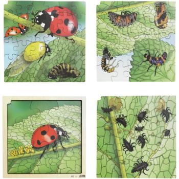AR-Puzzle 4-lagig - Lebenszyklus, Marienkäfer