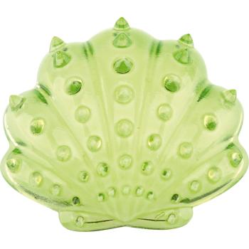 Transparente Muscheln, 6x6 Stck.