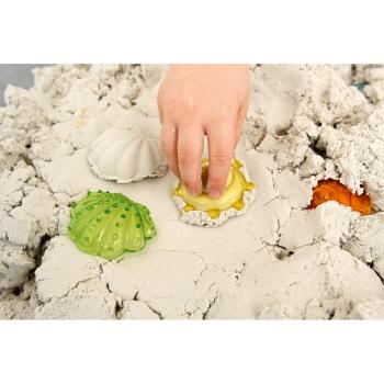 Transparente Muscheln, 6x6 Stck.