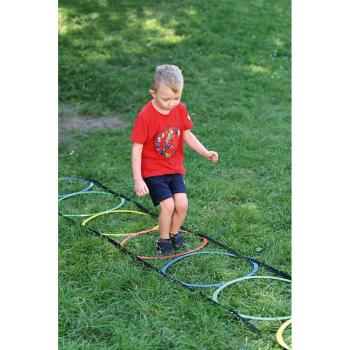 Koordinationsleiter aus Ringen