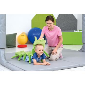 Beschwerungskissen, Raupe