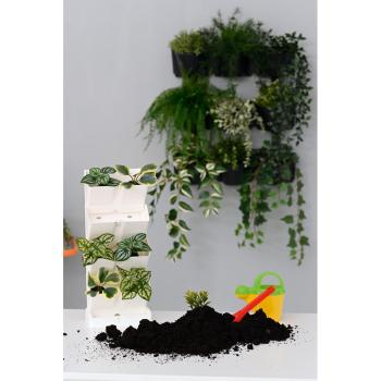 Grüne Wand - modulare Pflanztöpfe, 8 Stck. - weiss