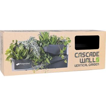 Grüne Wand - modulare Pflanztöpfe, länglich - anthrazit