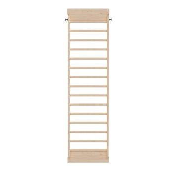 Aktive - Leiter, breit