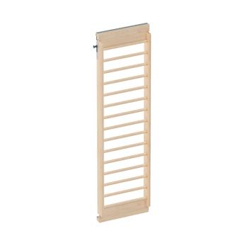 Aktive - Leiter, breit