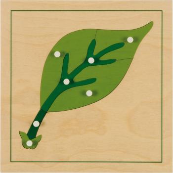 Montessori Botanisches Puzzle, Blatt