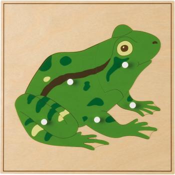 Montessori Tierpuzzle, Frosch