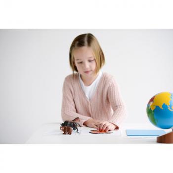 Montessori Kontinentenkiste mit Tieren