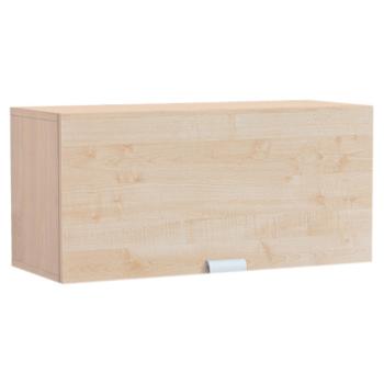 OPTO Hängeregal mit Tür aus Spanplatte