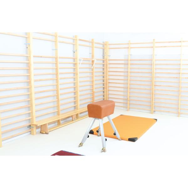 Turnbock auf Rollen, höhenverstellbar