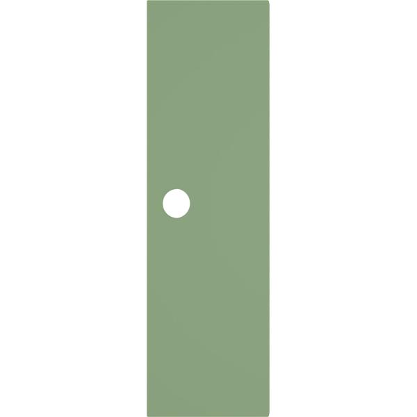 Schmetterling Garderobentür, B 23, foliert, blassgrün