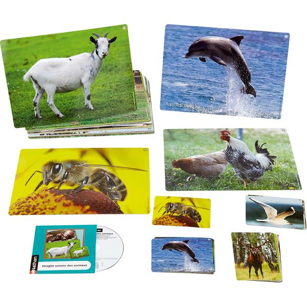 Tierlaute – Bildkarten mit Beispiel-CD