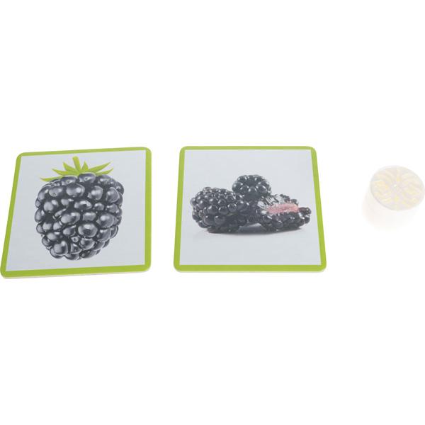 Früchte und ihr Geruch