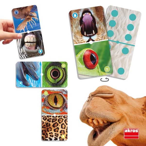 Domino - Tiere hautnah