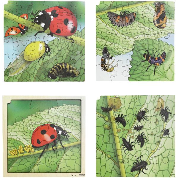 AR-Puzzle 4-lagig - Lebenszyklus, Marienkäfer