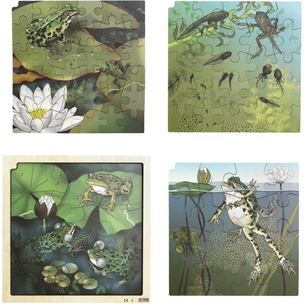 AR-Puzzle 4-lagig - Lebenszyklus, Frosch