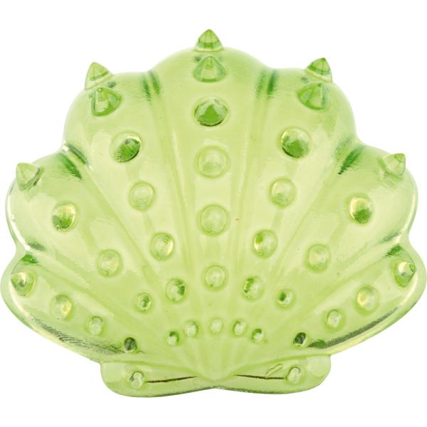 Transparente Muscheln, 6x6 Stck.