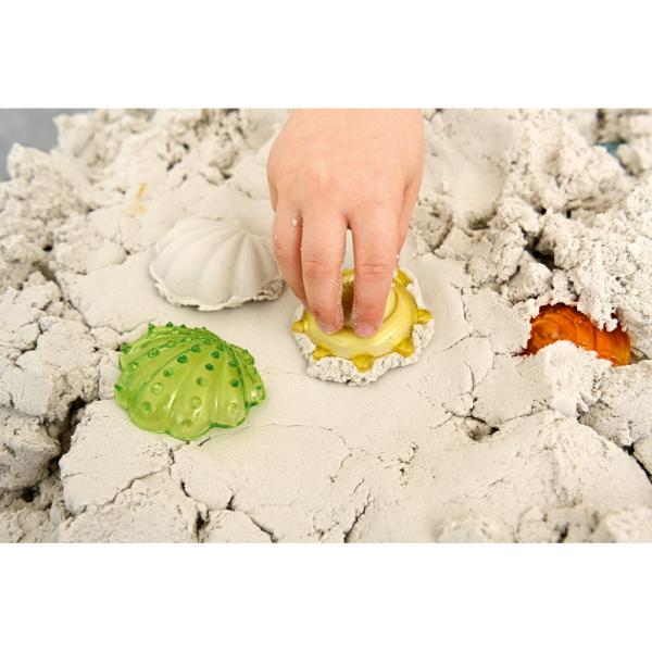 Transparente Muscheln, 6x6 Stck.