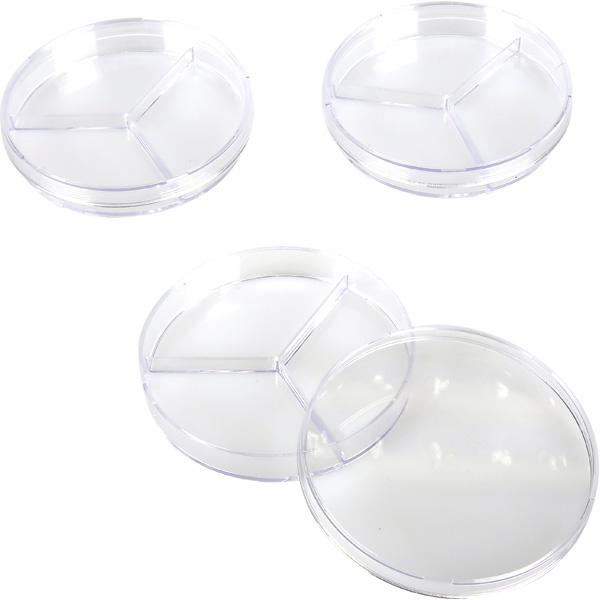 Petrischalen, dreigeteilt