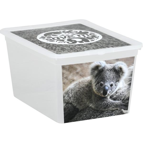 Behälter X-Box, 30 l - Koala