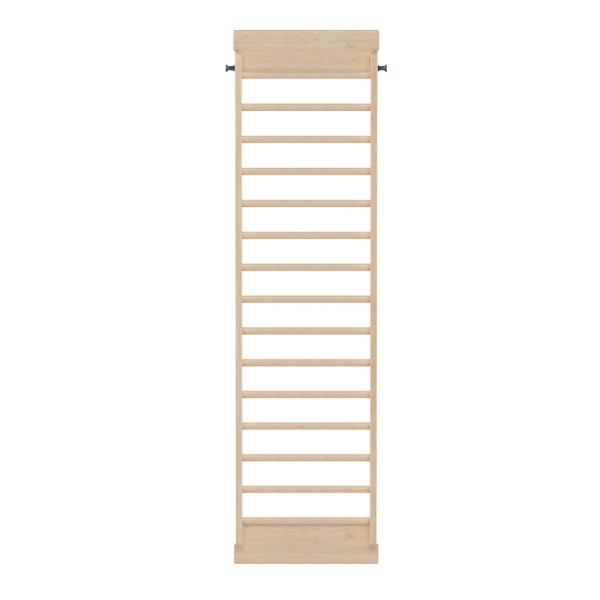 Aktive - Leiter, breit