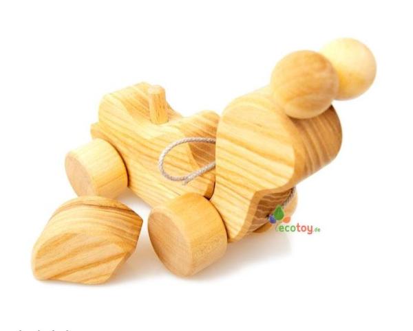 Schildkröte zum Ziehen