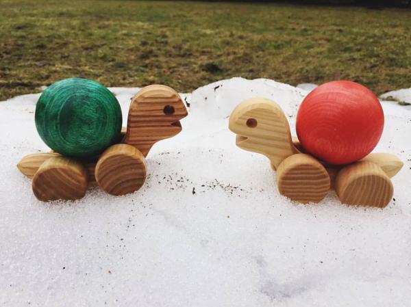 Schildkröte mit Kugel, natur