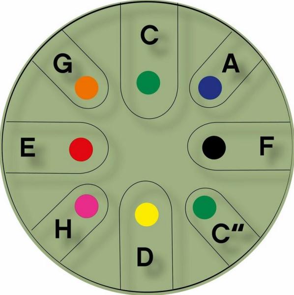 TONGO-GO Stahlzungentrommel 8" Small, grün