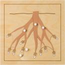 Montessori Botanisches Puzzle, Wurzel